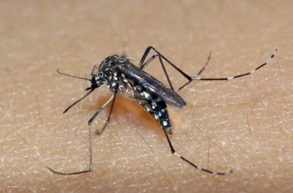 Criança morava em Lajeado e tinha comorbidade