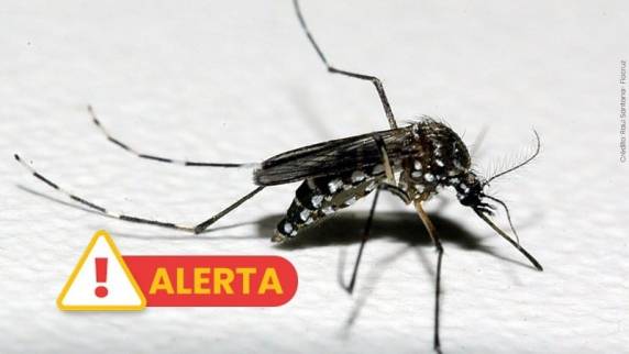 Causa da morte foi confirmada pelo Cevs nesta segunda-feira