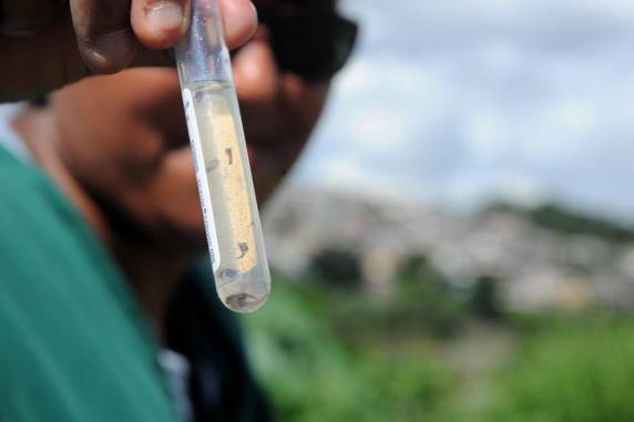 Estado alcançou 102 óbitos e bateu recorde de acordo com dados divulgados nesta quarta-feira (24). Trata-se da pior crise histórica envolvendo a doença. Fatores como o tempo e a falta de prevenção contribuem para o cenário