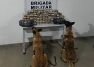 Foto da notícia